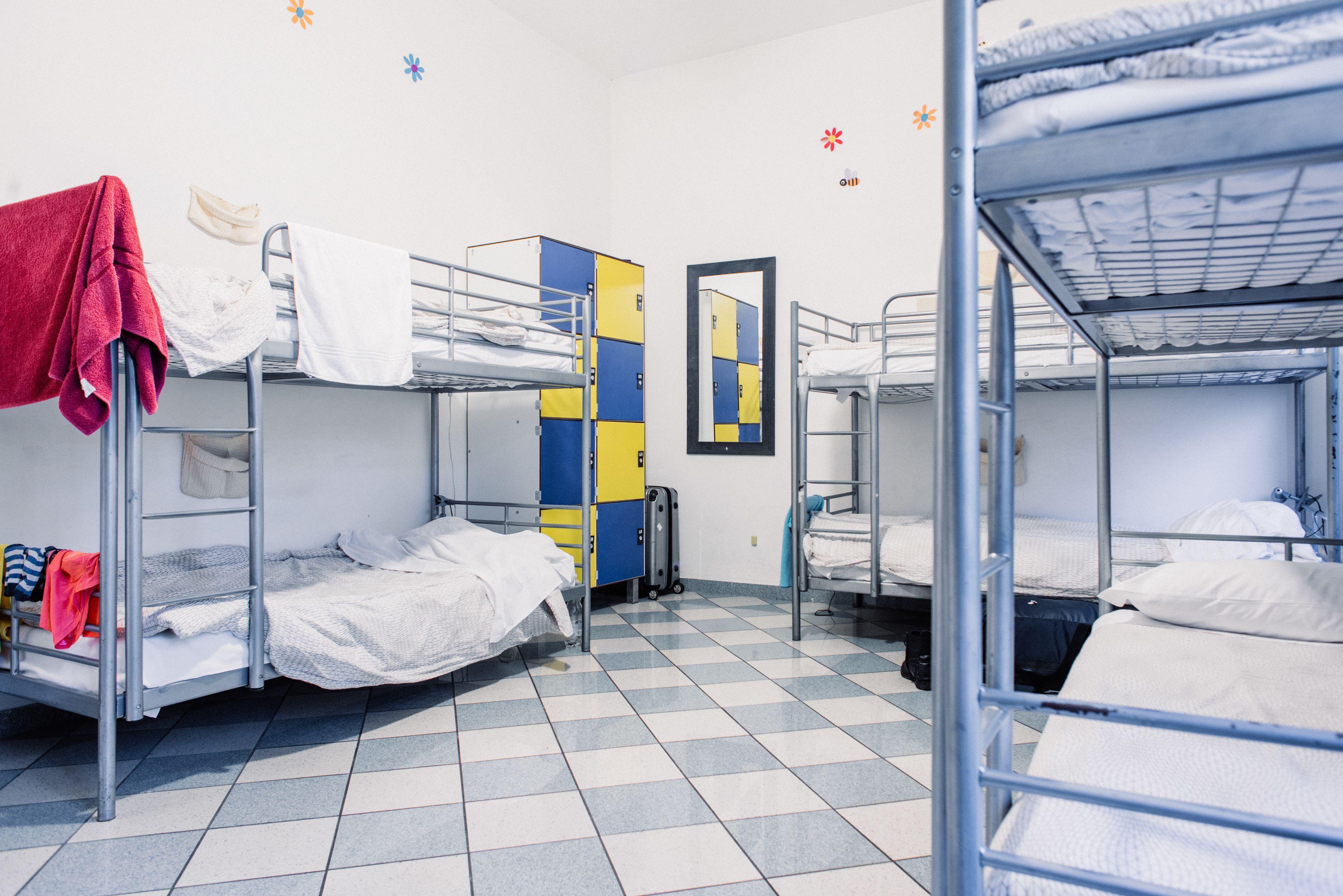 The Beehive Hostel — Foto 2